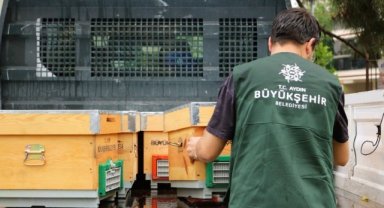 AYDIN BÜYÜKŞEHİR BELEDİYESİ’NDEN KADIN ARICILARA KOVAN DESTEĞİ