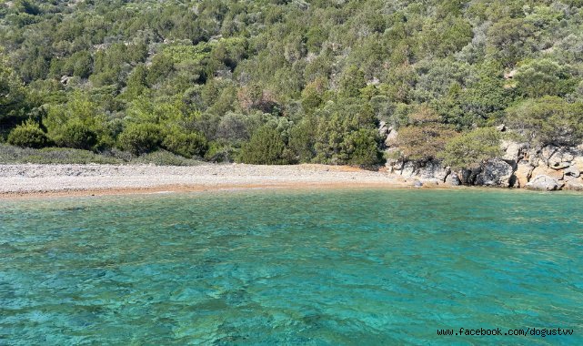 BELEDİYEDEN, ADA VE KOYLARDA TEMİZLİK