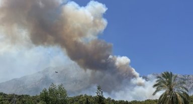ANTALYA'DA ORMAN YANGINI 4. GÜNÜNDE SÖNDÜRÜLDÜ