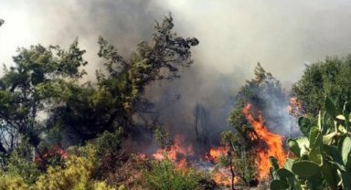 ANTALYA'DA ORMAN YANGINI