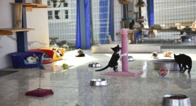 EN MODERN BAKIMEVİ ADANA'DA