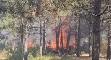 İSTANBUL'DA ORMAN YANGINI