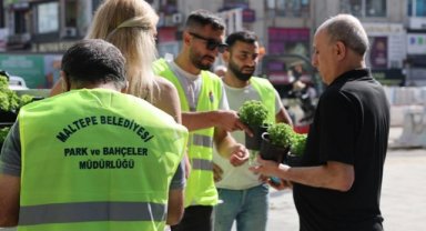 MALTEPE’DE EVLER FESLEĞEN KOKACAK