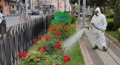 Bağcılar Belediyesi Bitlerle Mücadelesini Sürdürüyor