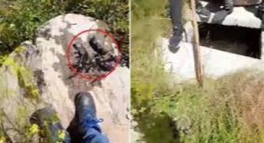 ERZURUM'DA İÇME SUYU DEPOSUNDAN FARE ÖLÜLERİ ÇIKTI