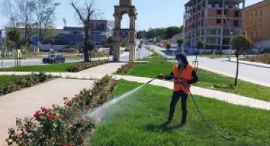 Yeşil Alanlarda İlaçlama Ve Bakım İşlemi Yapılıyor