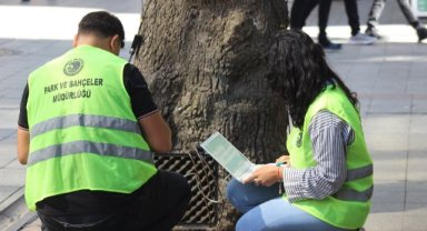 Kartal Tarihi Ağaçlara Sahip Çıkıyor