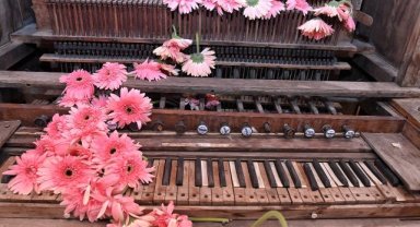 Tarihi Terra Santa ‘FLORALFEST’ Çiçek Festivali İle Açıldı