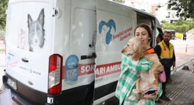 Sokak Hayvanları Ambulansı Mahallelerde Hizmet Veriyor
