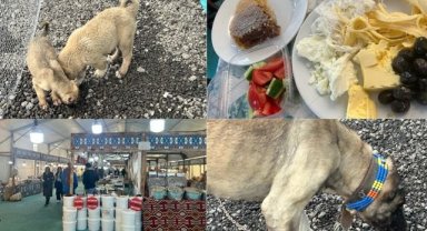 Sivas Yöresel Ürünleri İndirim Çadırı Kartal'da