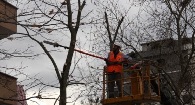 Kartal’da Budanan Ağaçlar İhtiyaç Sahiplerine Yakacak Olarak Geri Dönüyor