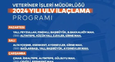 Maltepe’de sivrisineklere karşı mücadele