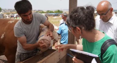 Tuzla Belediyesi Ekipleri, İlçedeki Kurban Pazarlarını Bayrama Hazırlıyor