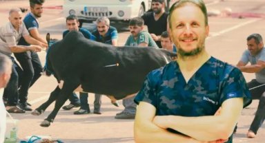 UZMANI UYARDI: ACEMİ KASAPLAR DİKKAT, BAYRAMINIZ KANLI BAYRAMA DÖNÜŞMESİN!