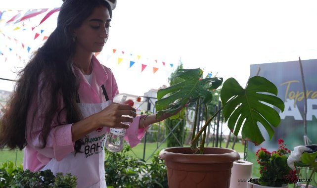 Ayvansaray Bahçe'nin Bitki Hastanesi, Bitkilere Şifa Olmaya Devam Ediyor!