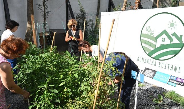Konaklar Bostanı İlk Mahsullerini Vermeye Başladı