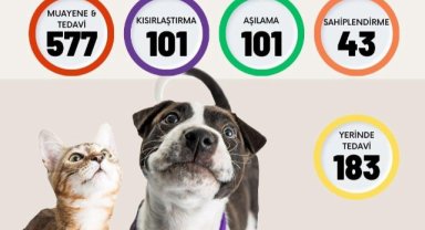 Beykoz’da Bir Ayda Binden Fazla Sokak Hayvanının Yardımına Koşuldu