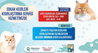 Beykoz’da Kısırlaştırma Seferberliği