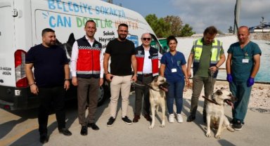 Büyükçekmece’de fark yaratan projeyle can dostları sahiplendirme seferberliği başladı