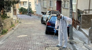 SİNEK VE HAŞERELERE KARŞI KÂĞITHANE’DE TAM ZAMANLI MÜCADELE