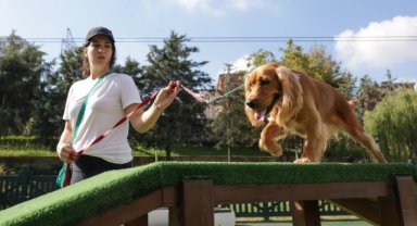 TÜRKİYE’NİN EN KAPSAMLI KÖPEK EĞİTİM MERKEZİ ÜMRANİYE’DE