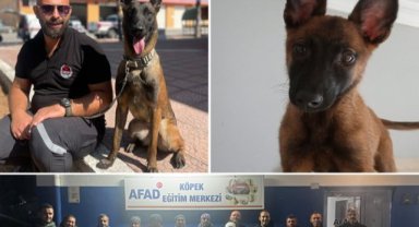 KARTAL BELEDİYESİ K-9 EKİBİNDEN BÜYÜK BAŞARI