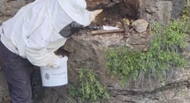 Bir çoban, kaya oyuğunda tesadüfen hazine değerinde doğal bal buldu