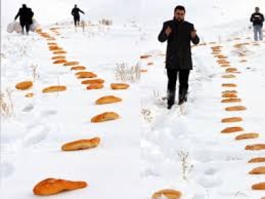 481 Yıllık Gelenek 