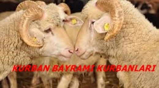 2014 Kurban Bayramı Tatili Kaç Gün Olacak Bayram Ne Zaman