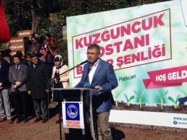 Minik Eller Ektiklerini Biçecek