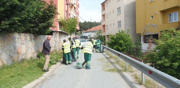Maltepe’nin temizlik avcıları