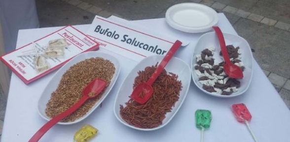 Kadıköy'de böcek ikramı görenleri şaşırttı