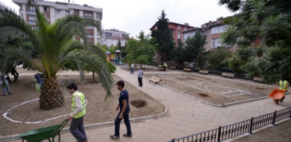 Maltepede 162 Park Bakımı