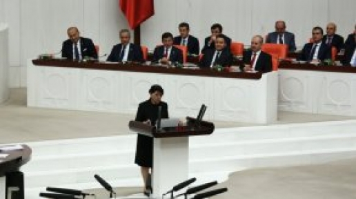 Leyla Zana Türkçe Yemin Etti, Türk Kelimesinde Takıldı