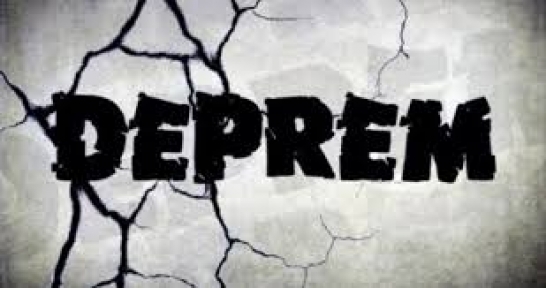 Van'da korkutan deprem!