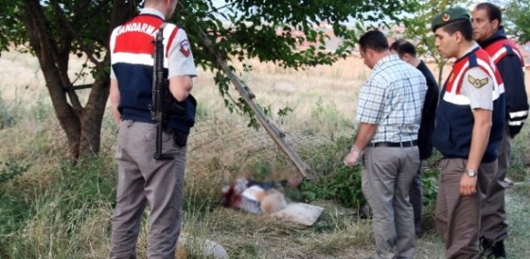 Ağaç Budarken Gelen Feci Ölüm
