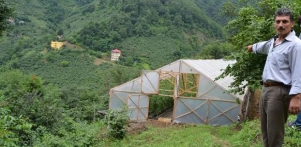 Doğu Karadeniz'de İlk Defa Topraksız Domates Üretildi