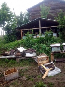 Köye İnen Ayı Arı Kovanlarını Parçaladı