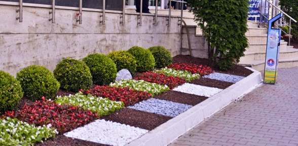 Maltepe çiçek açtı