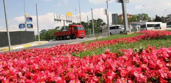 ÇİÇEKLER, SULTANBEYLİ'YE RENK KATTI