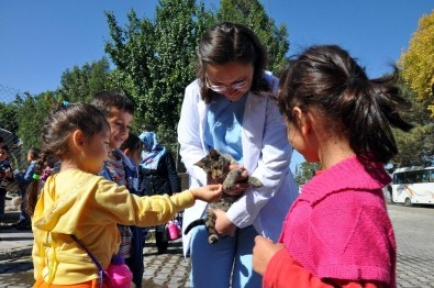 Odunpazarı Belediyesi 6 Ayda 125 Hayvanı Sahiplendirdi