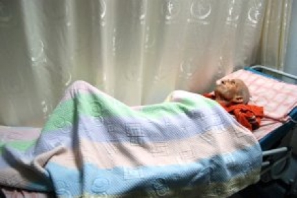 Adile Naşit'in Eşi Cemal İnce, Zor Günler Yaşıyor
