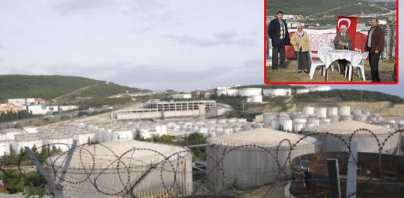 Ağaç kesimi mahkeme kararıyla durduruldu