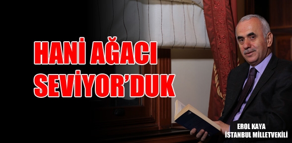 Ağacın siyasetteki yeri