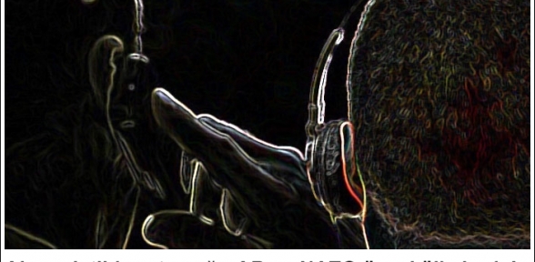 Alman istihbaratı çoğu AB ve NATO üyesi ülkelerde