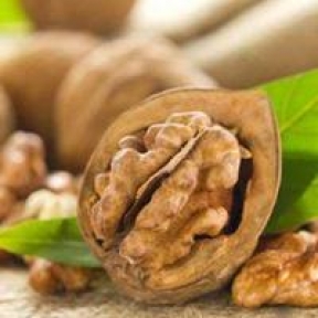 Alzheimer ve depresyona karşı ceviz