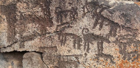 Ani Ören Yeri Yakınlarında Bulundu 