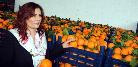 Aydınlı Portakal Üreticisini Sevindiren Satış