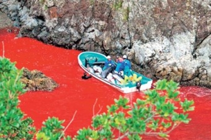Batının sessizliği sürüyor
