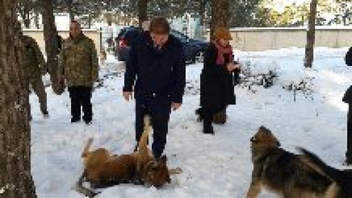 Belediye 9 Bin Dostuna Kucak Açtı